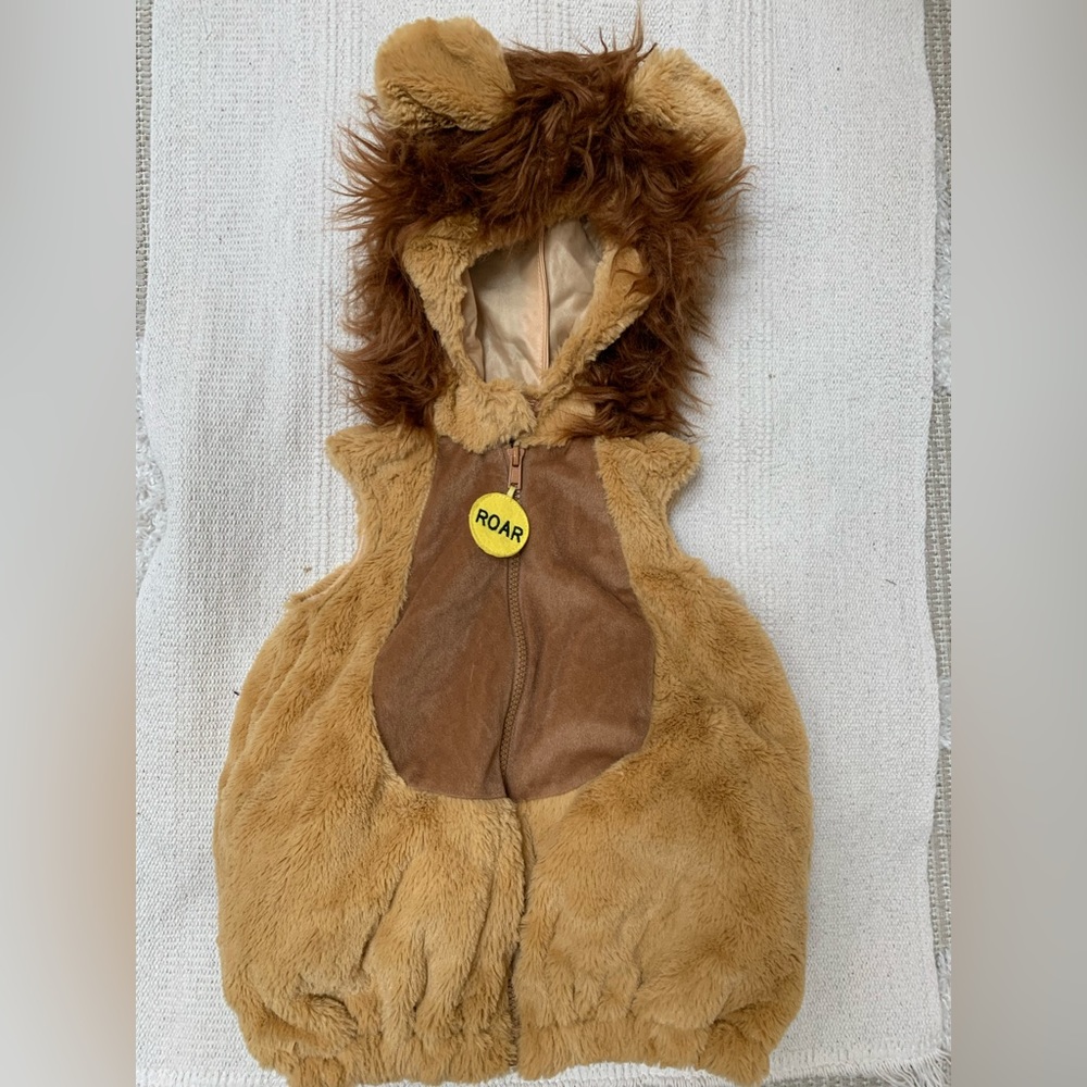 Going Wild cute lion costume for 12-18 month old babies